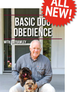 basic-dog-obedience-dvd