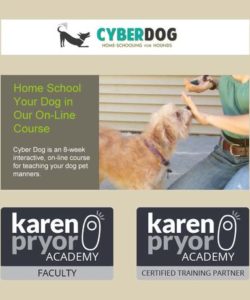 cyberdog-online-dog-training