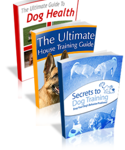 dog-training-mastery-multimedia-package