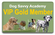 vipgoldtraining